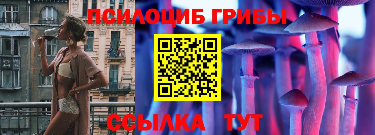 Псилоцибиновые грибы Cubensis  Вход с VPN  Дедовск 