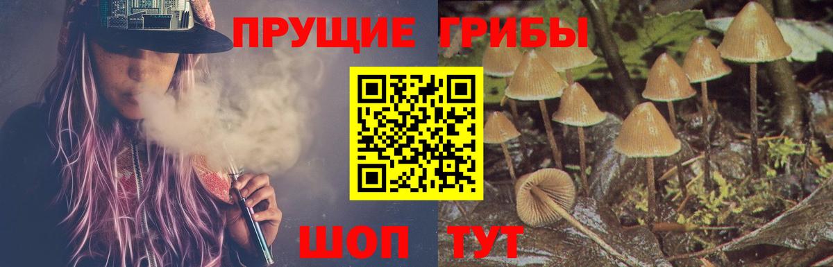 Псилоцибиновые грибы ЛСД Дедовск